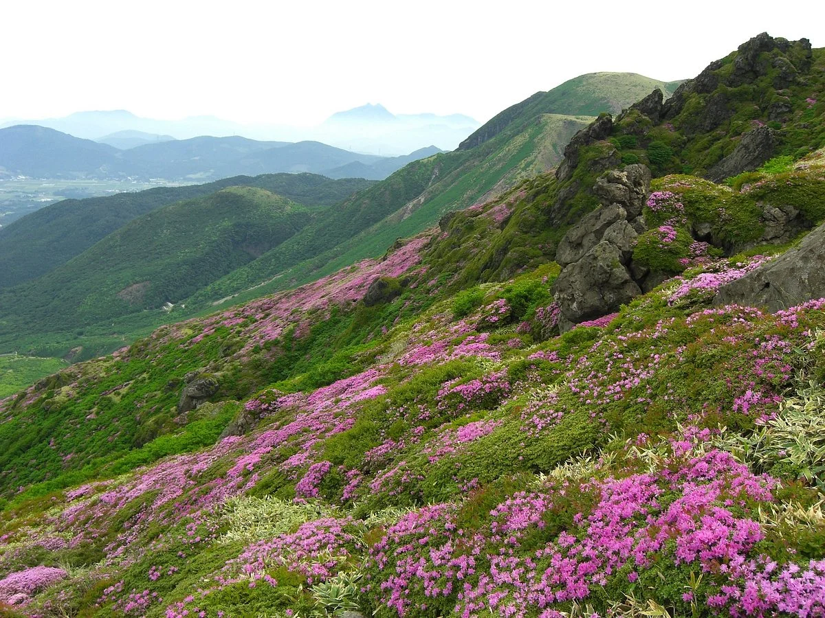 Mt. Hossho