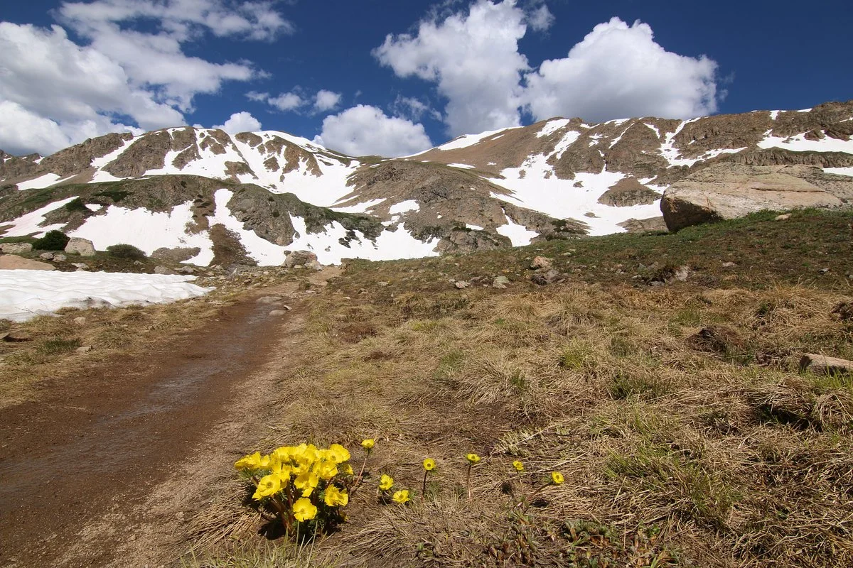 Herman Gulch Trail