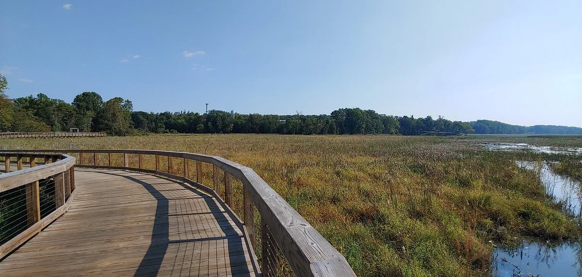 Neabsco Creek Boardwalk