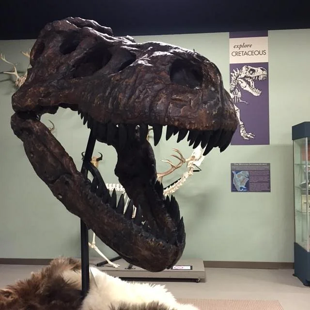 Montana Natural History Center