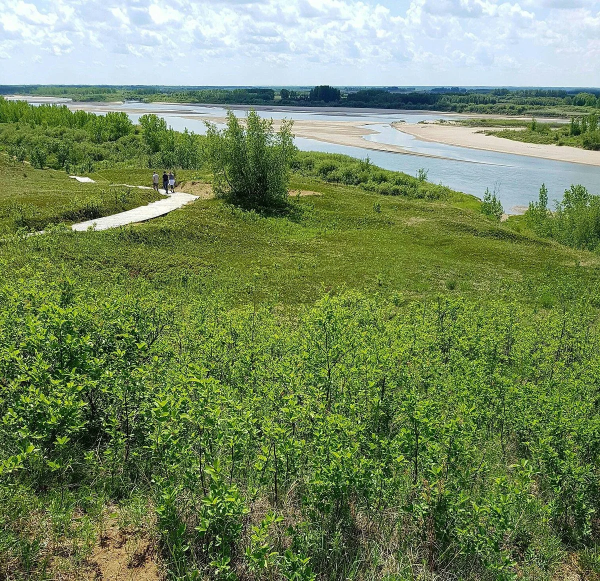 Cranberry Flats Conservation Area