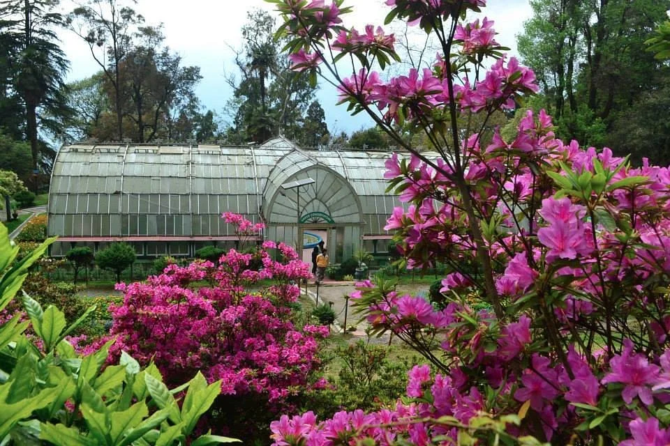Lloyd Botanical Garden