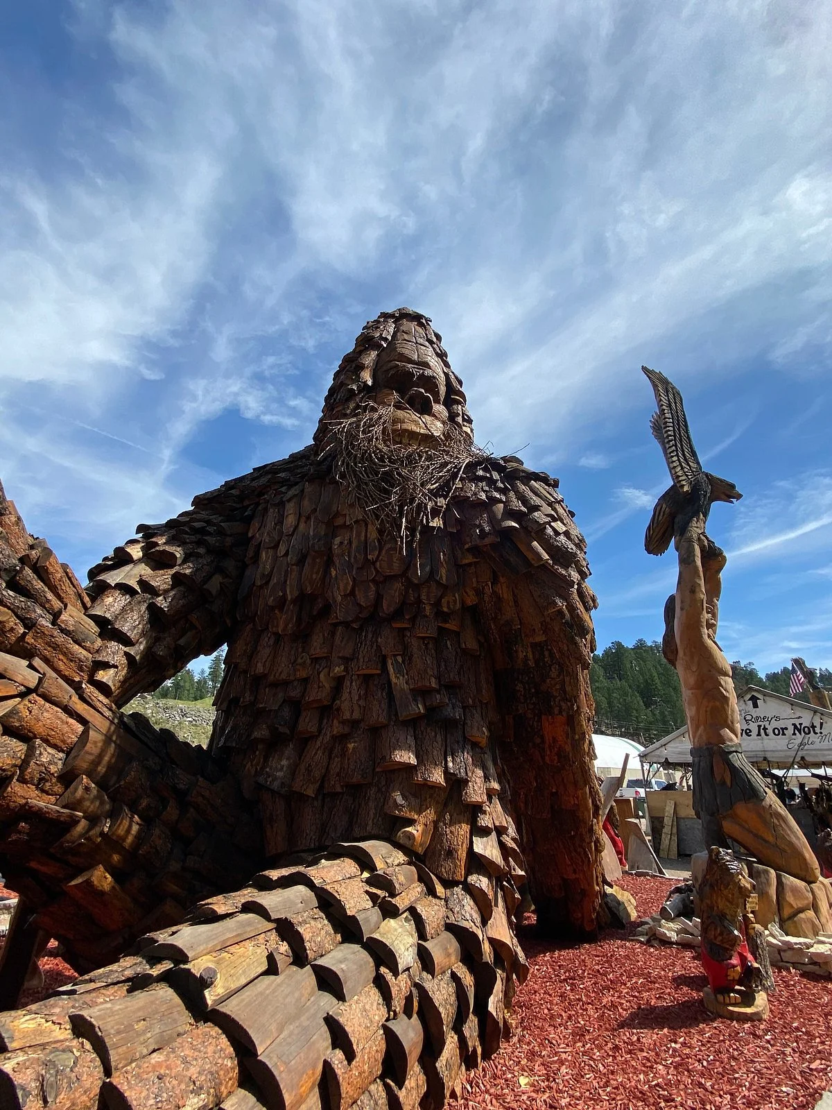 Dahl's Chainsaw Art