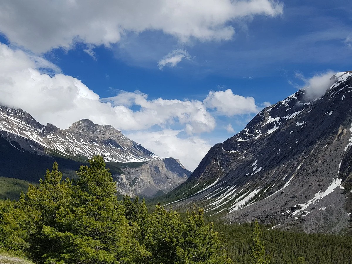 Sunwapta Pass