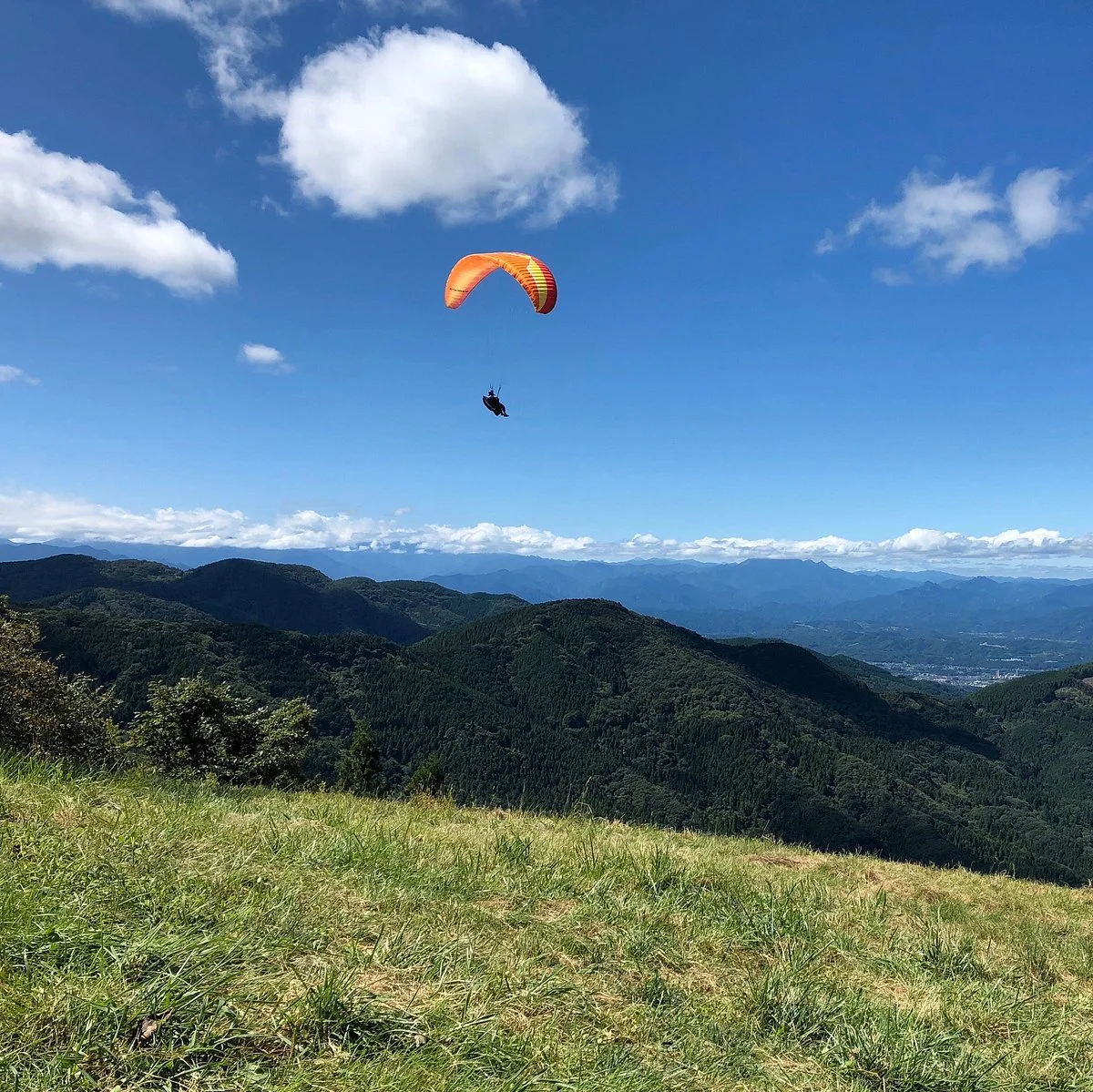 Mt. Dodaira