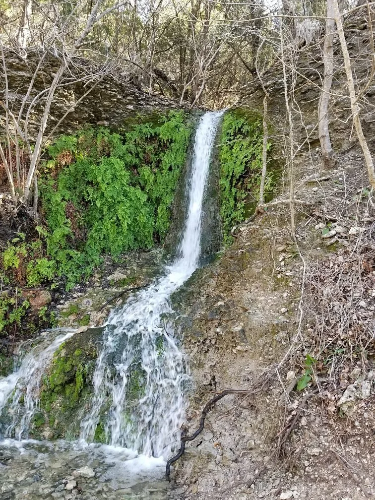 Brushy Creek Regional Trail
