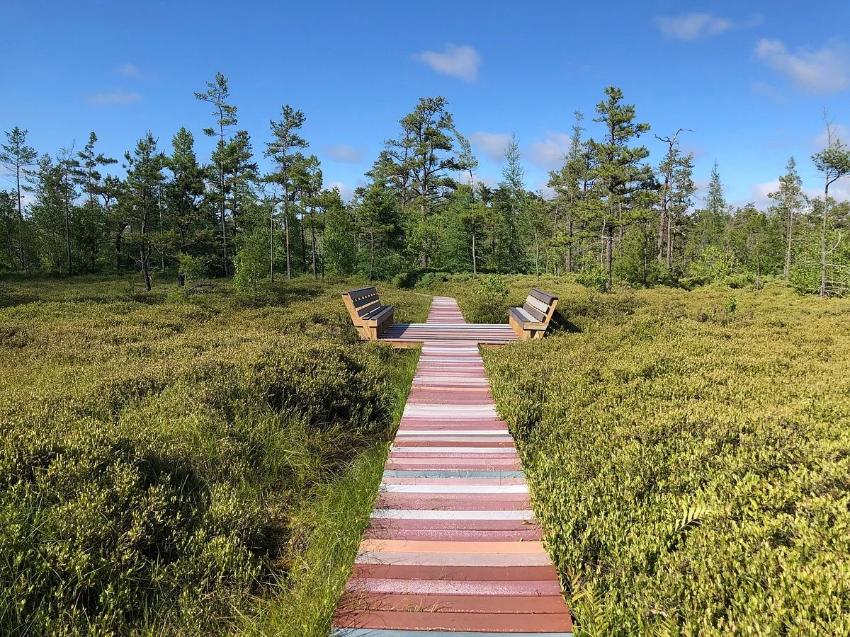 Saco Heath