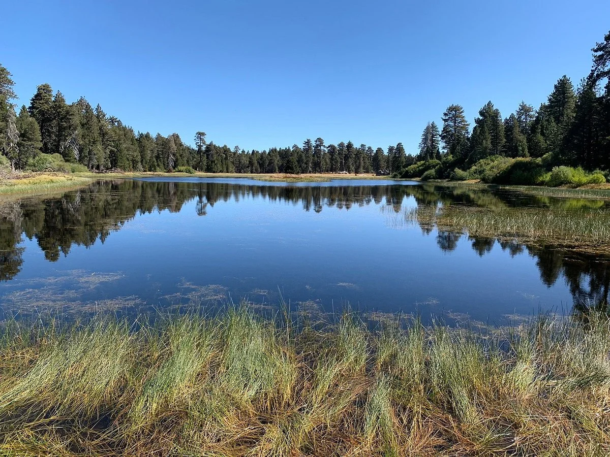 Bluff Lake Reserve