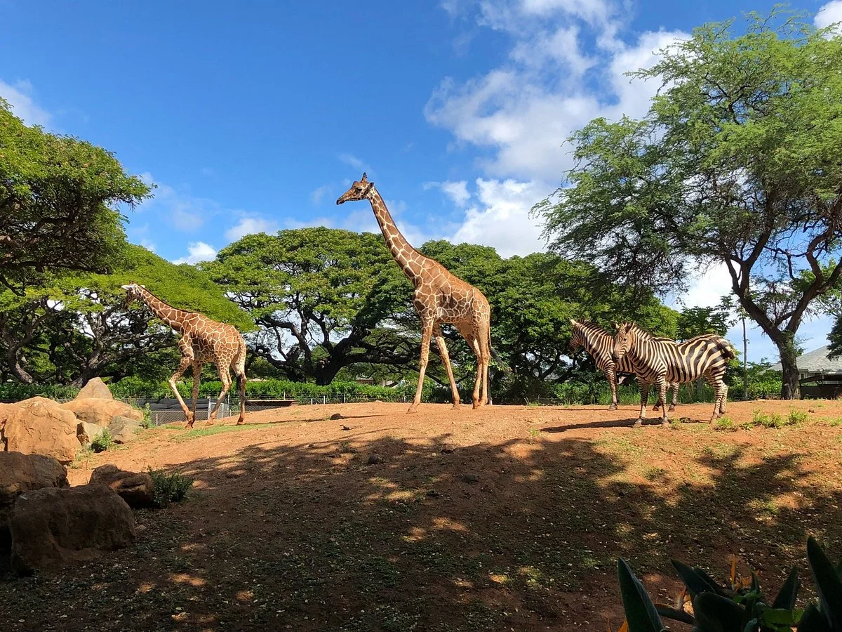 Honolulu Zoo