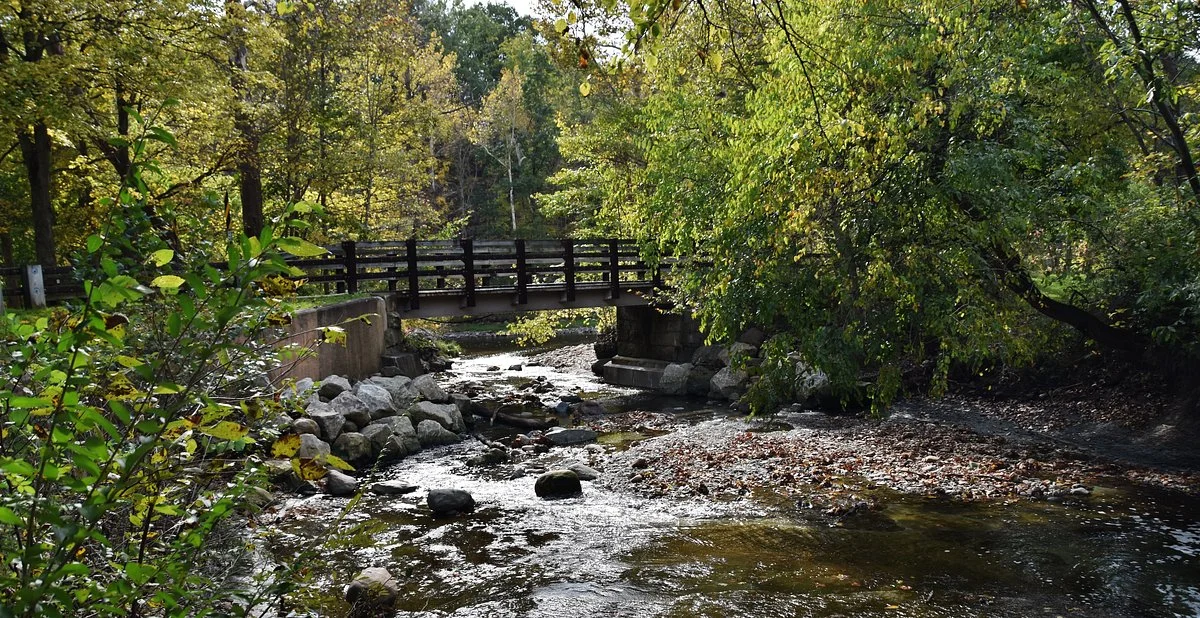 Bedford Reservation