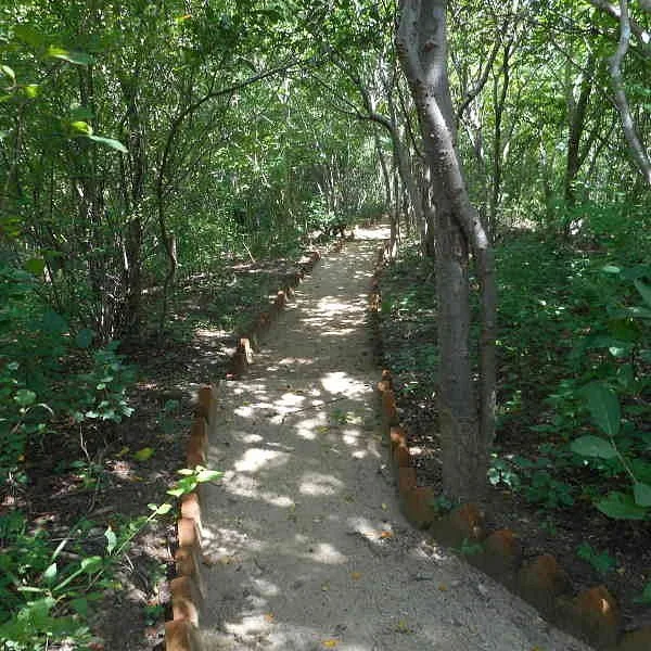 Jardin Botanico Universidad del Mar campus