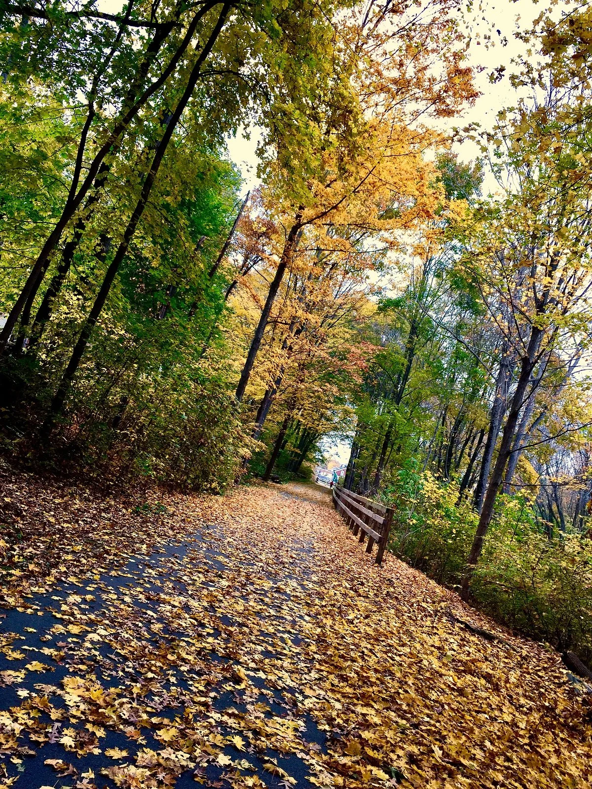 Bruce Freeman Rail Trail