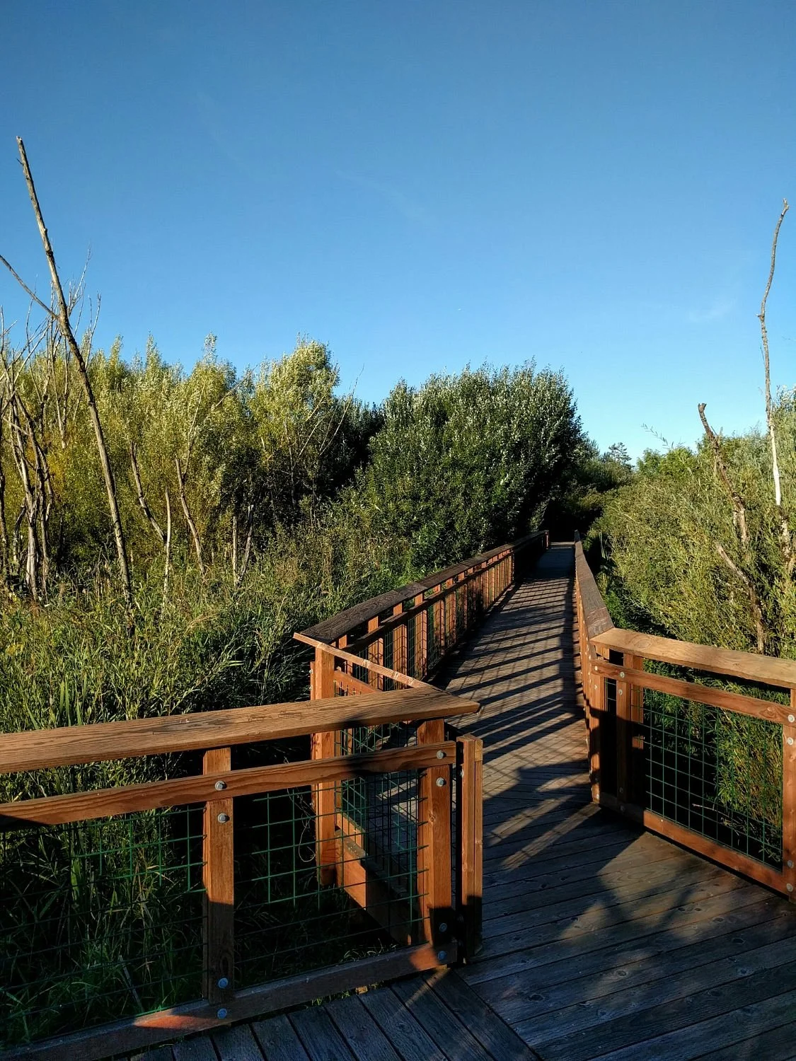 Auburn Environmental Park