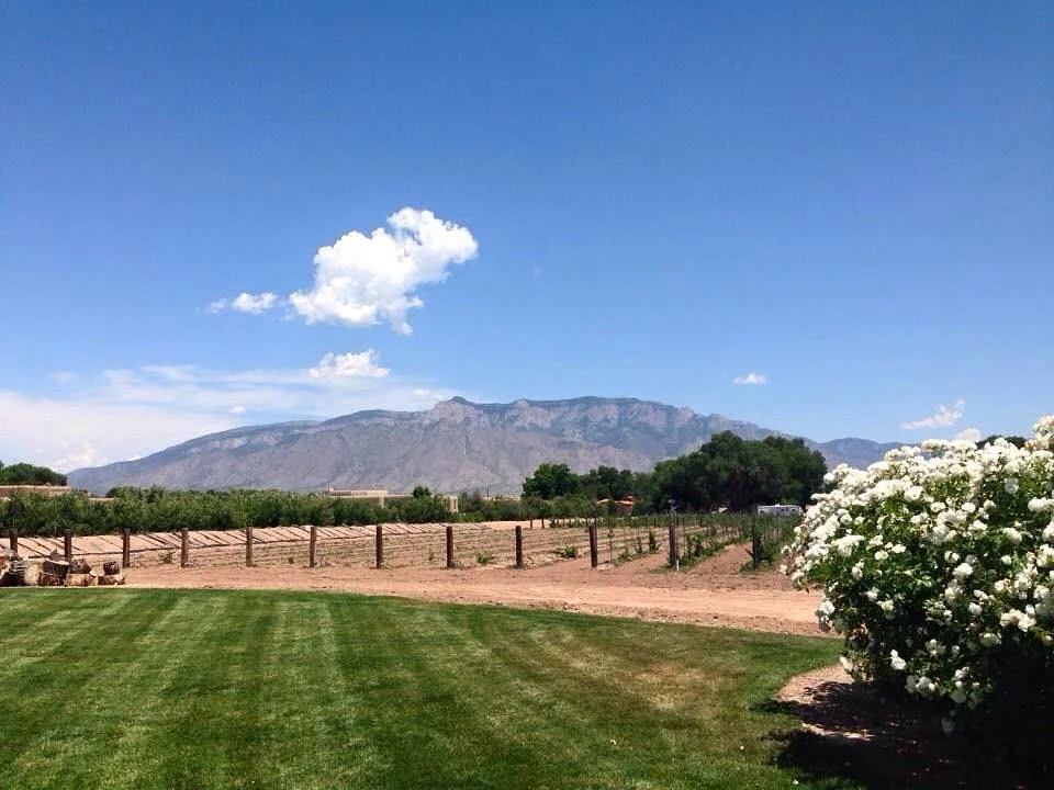 Corrales Winery
