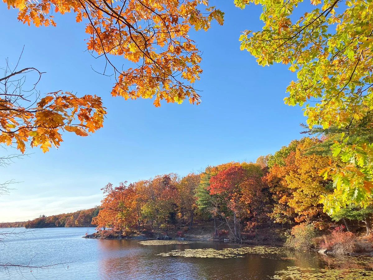 Lake Taghkanic State Park