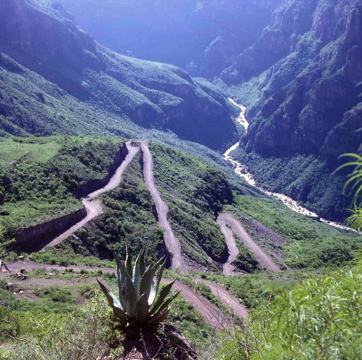 Batopilas Canyon