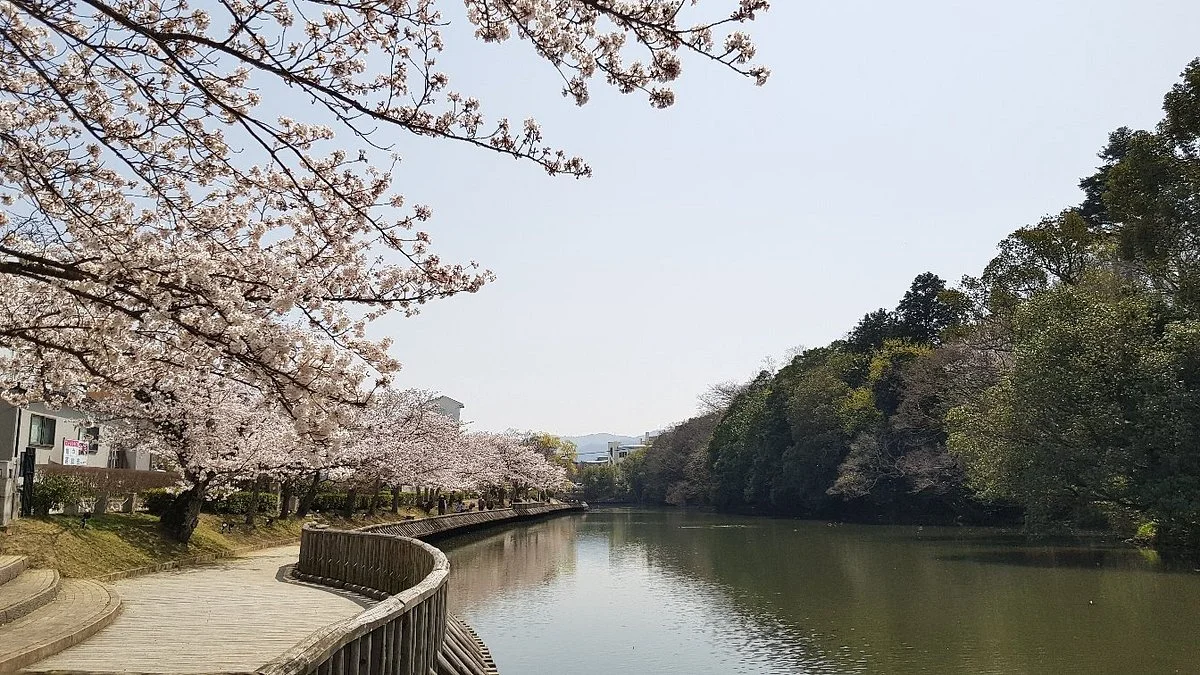 Nango Park