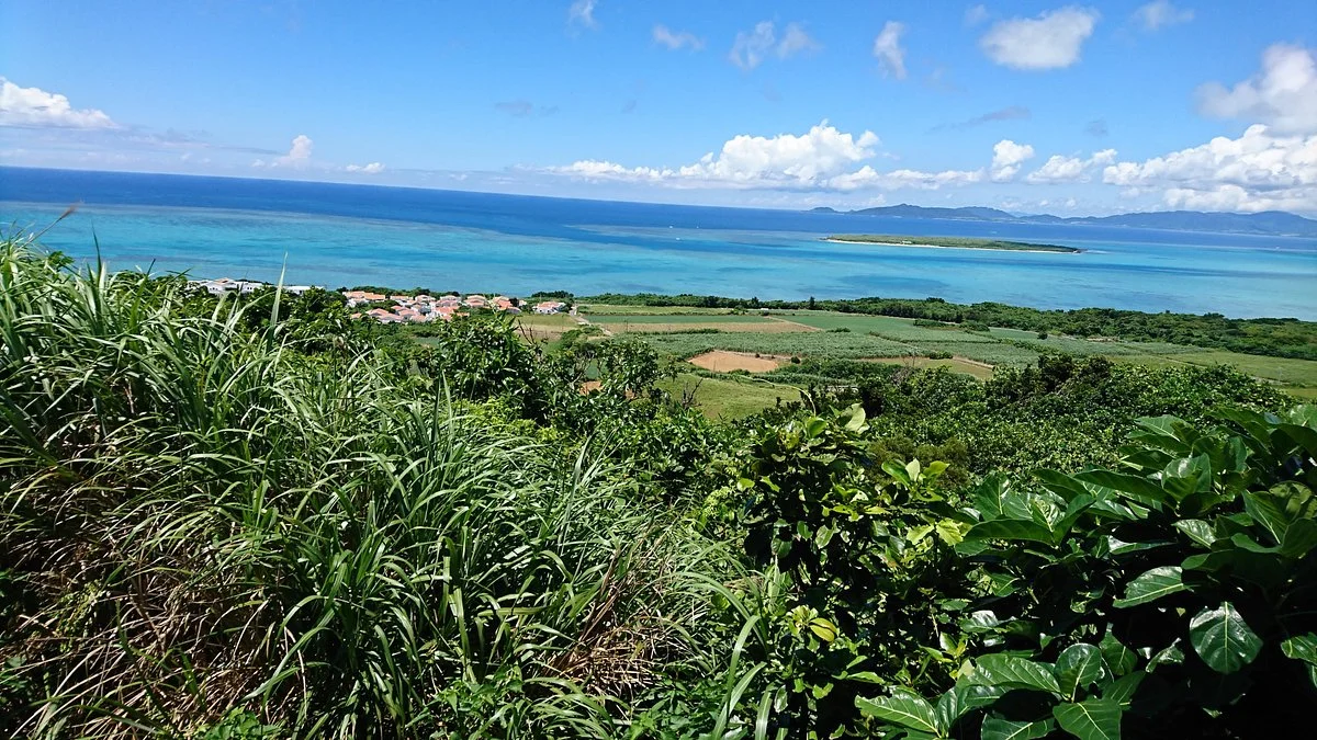 Ubutaki Lookouts