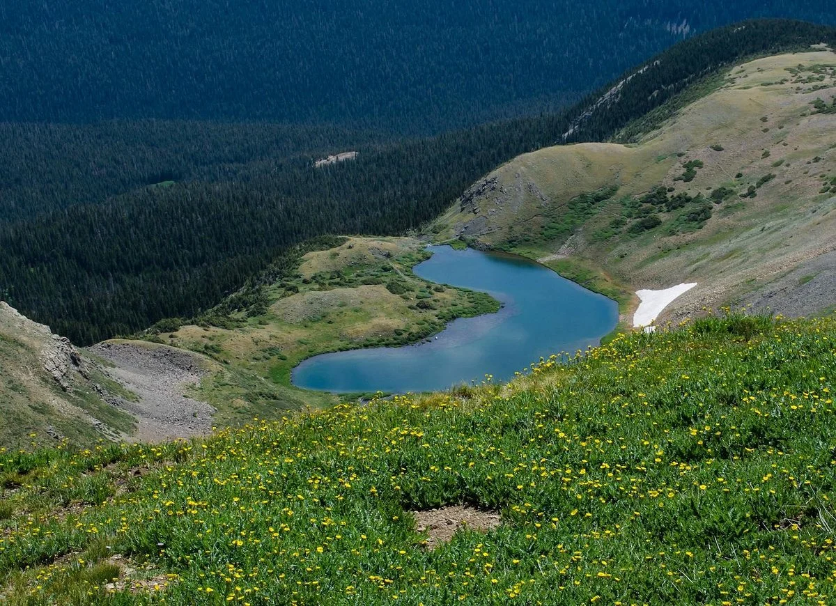 Wheeler Peak Wilderness Area