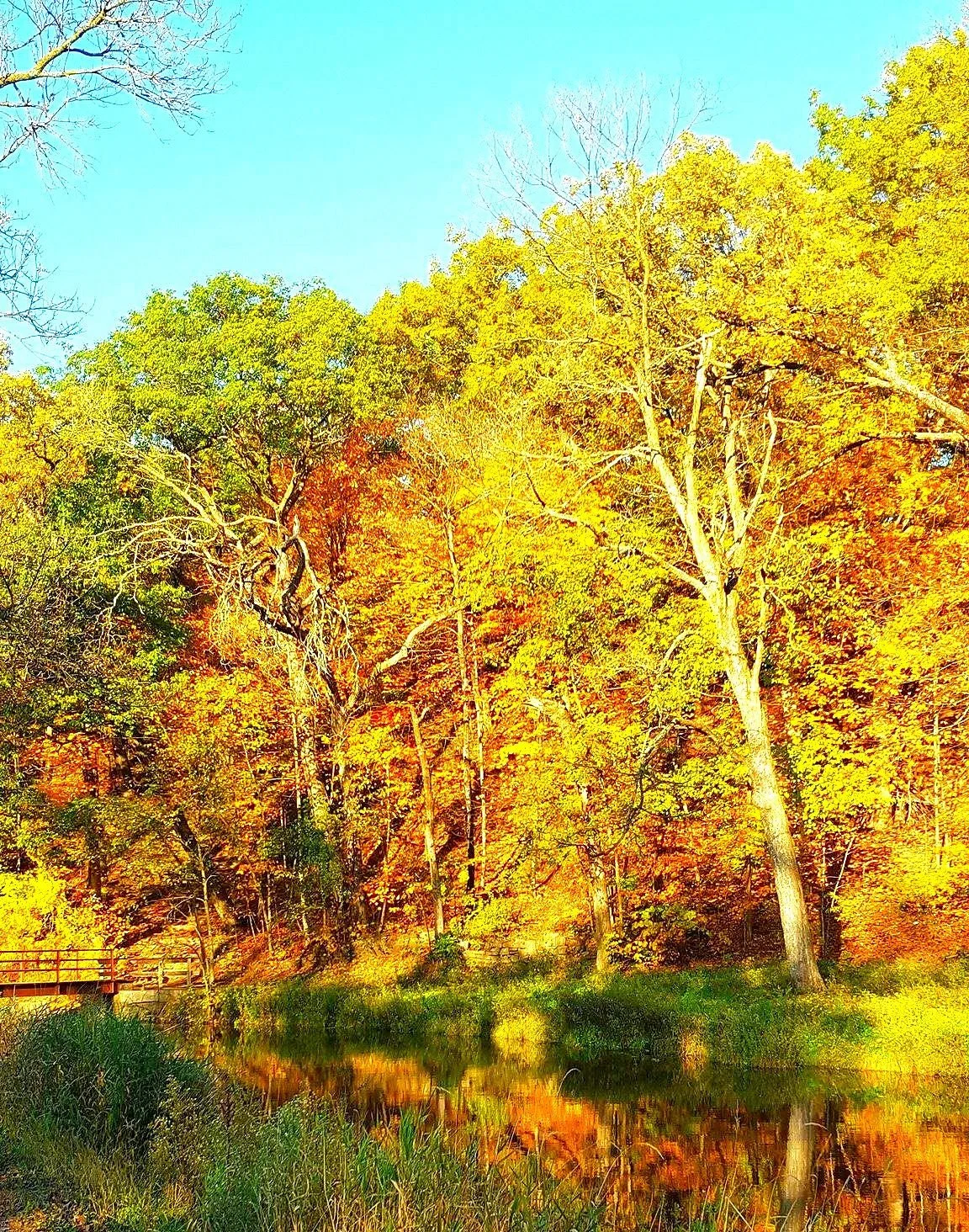 Mineral Springs Park