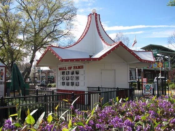 Nut Tree Family Park