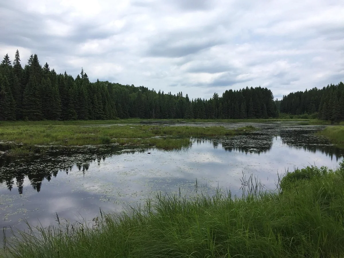 Algonquin Logging Museum Trail