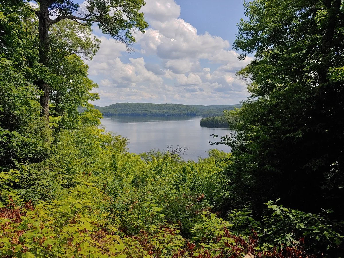 Hardwood Lookout Trail