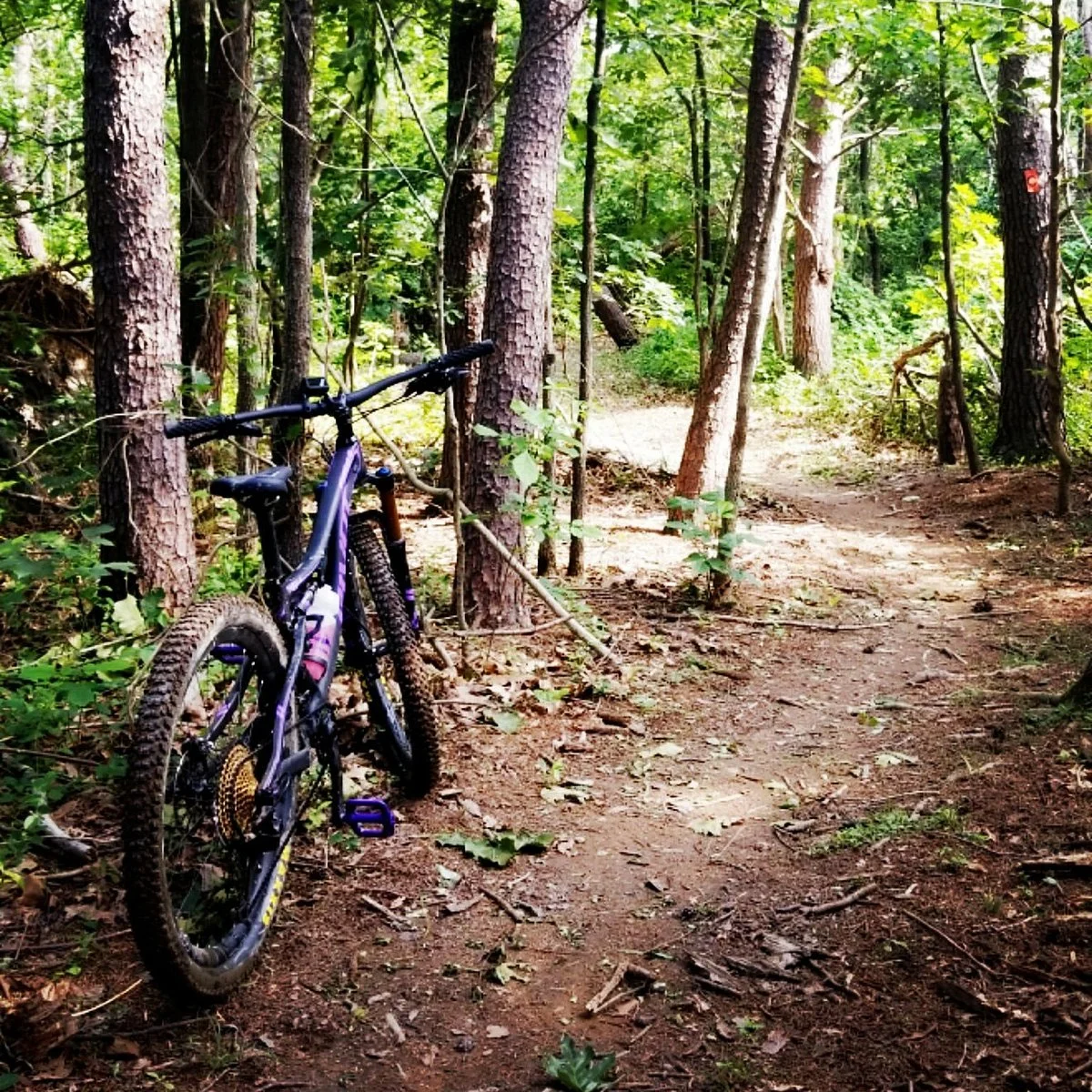 Sherando Park
