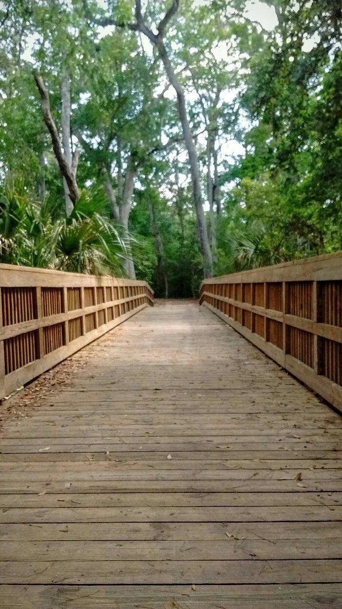 Cradle Creek Preserve