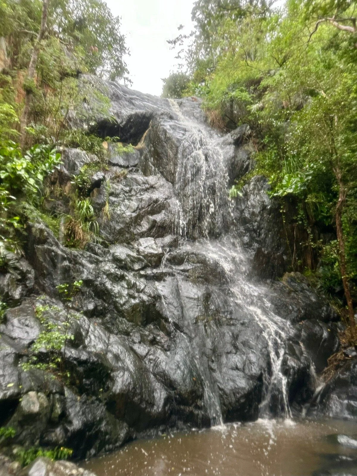 Reef Bay Trail