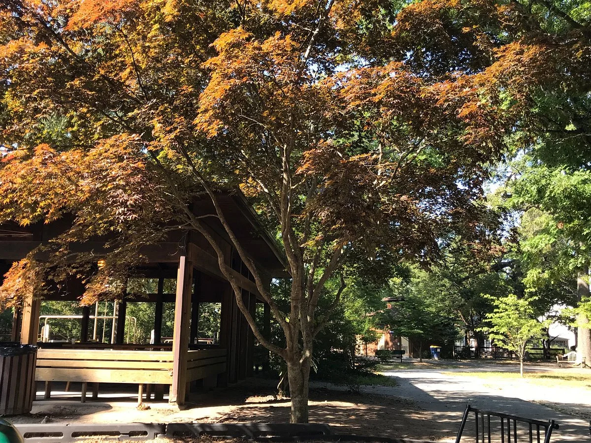 Grove Park