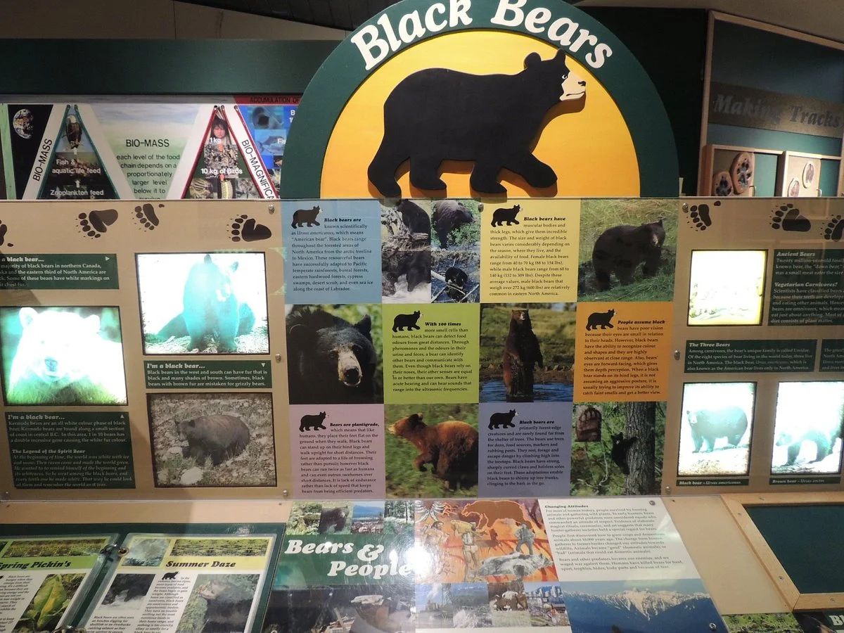 Lynn Canyon Ecology Centre