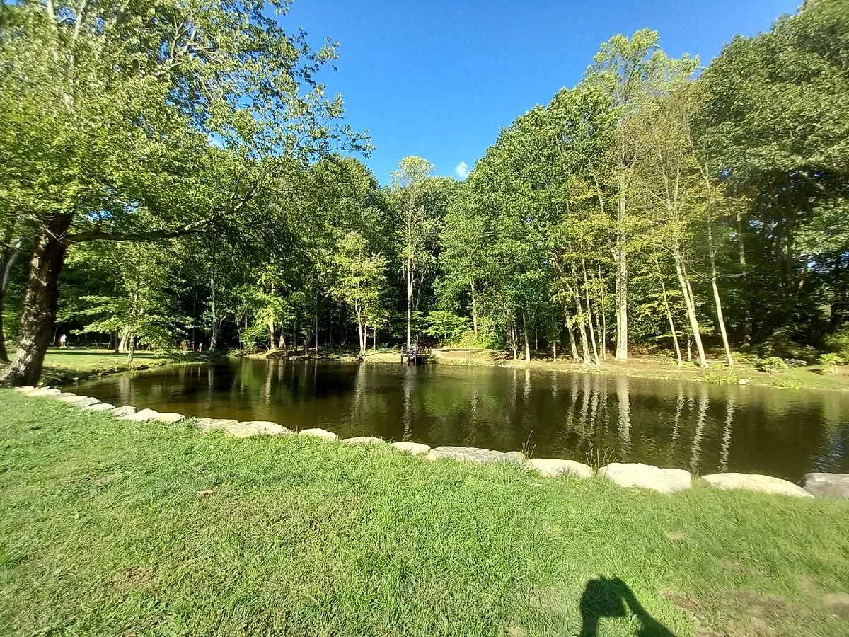 Waveny Park