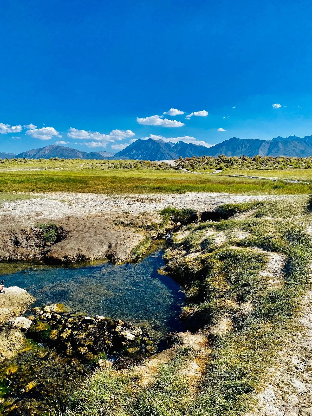 Wild Willy's Hot Springs