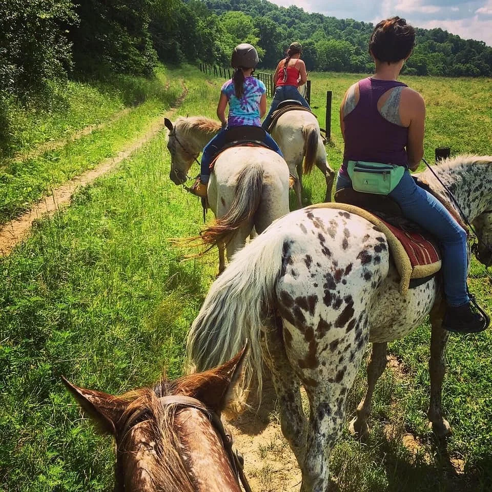 The Spotted Horse Ranch
