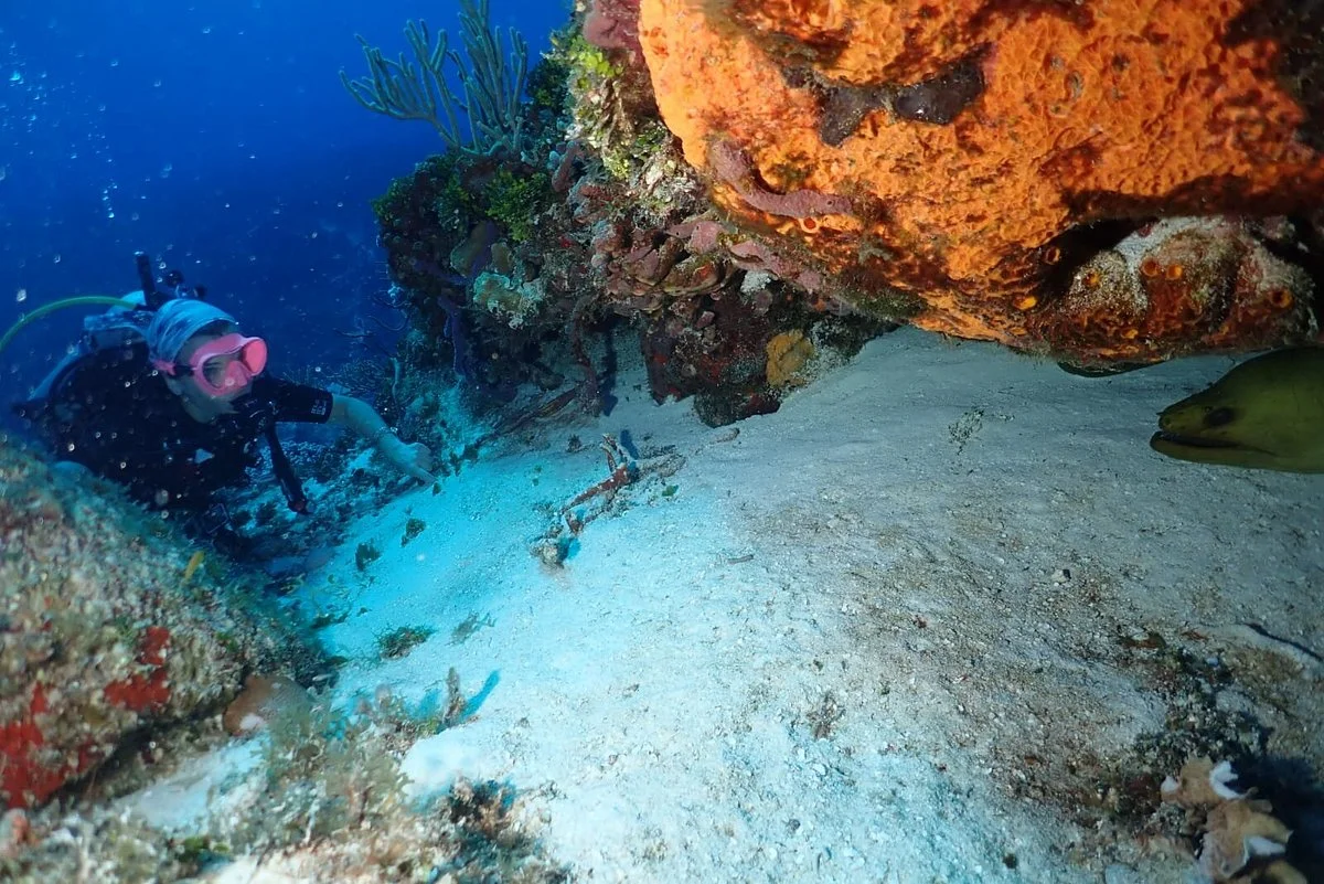 Parque Nacional  Arrecifes de Cozumel