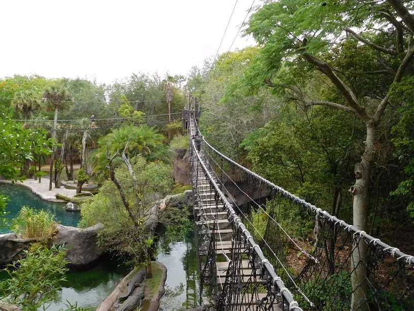 Wild Africa Trek