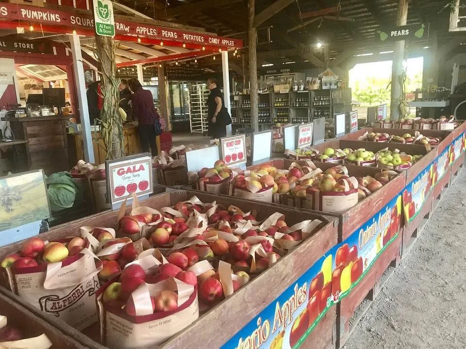 The Country Apple Store