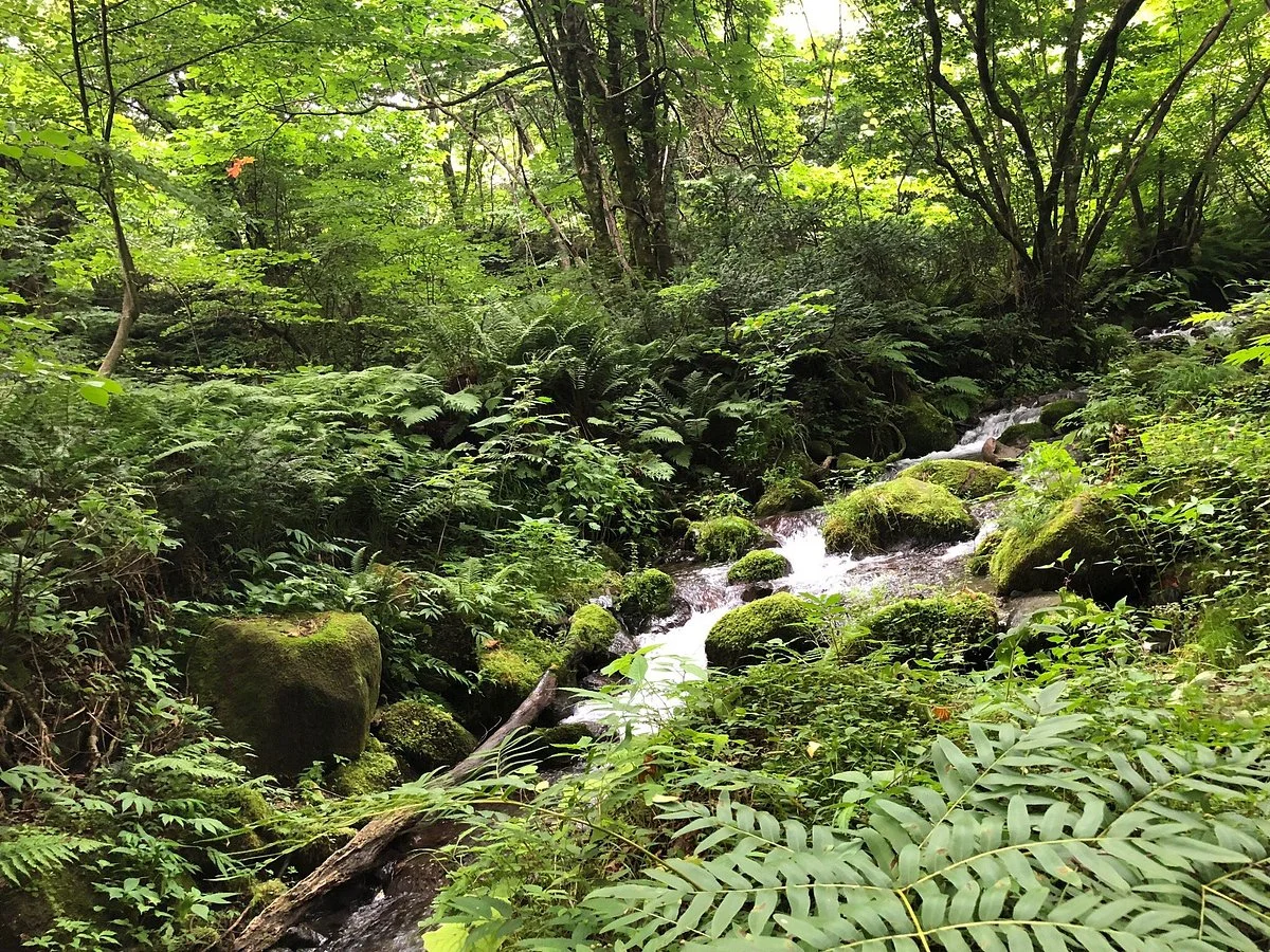 Kitanizawa Stream