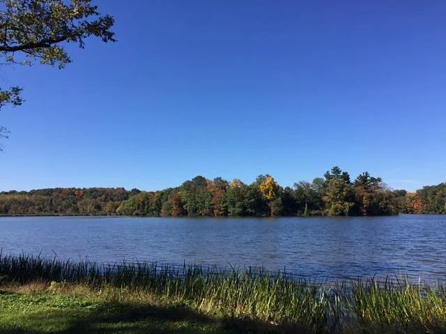 Lake Redman