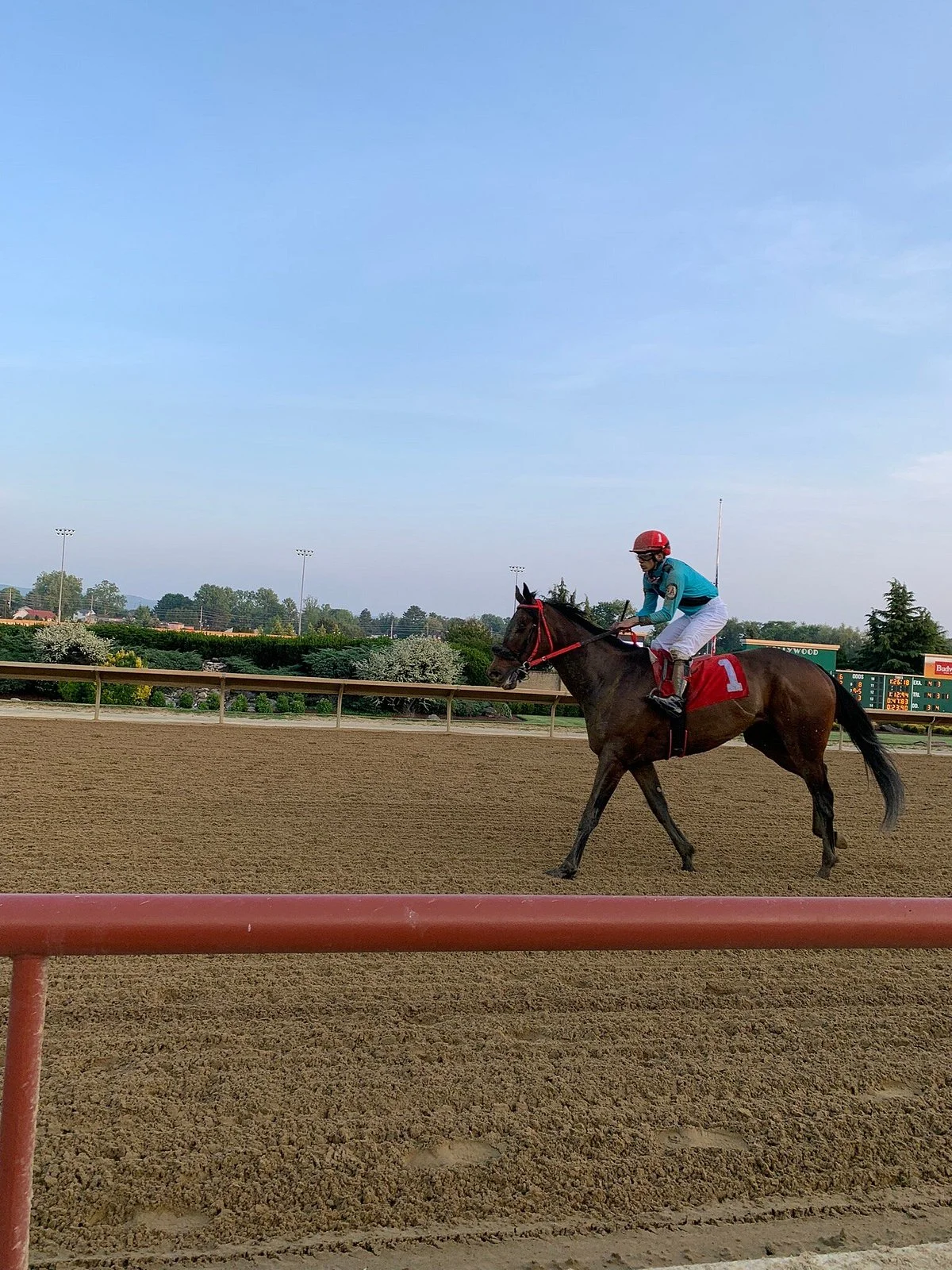 Hollywood Casino at Charles Town Races