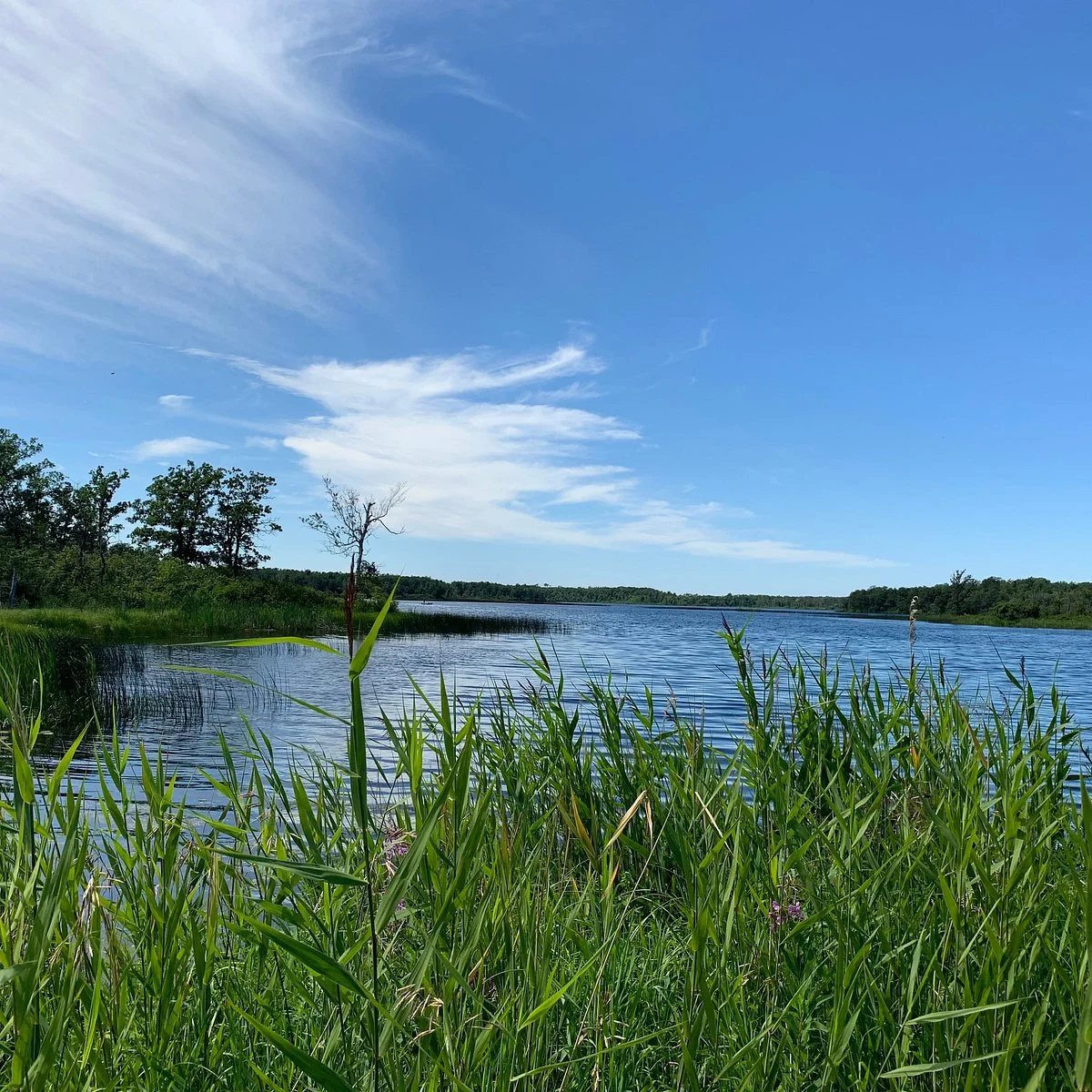Turtle Mountain Provincial Park