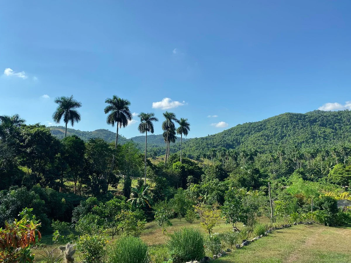 Finca Excelencia
