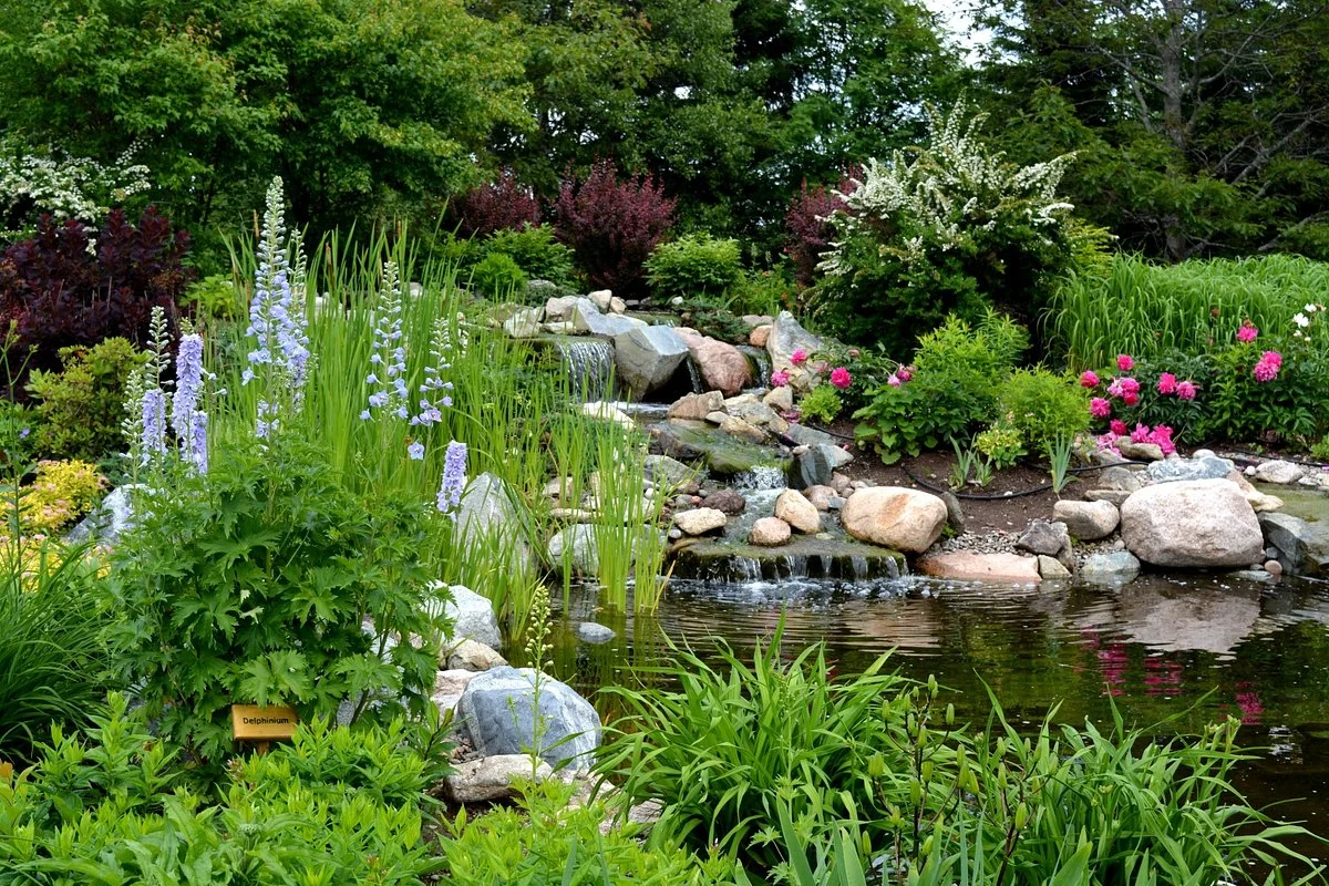 Irving Arboretum