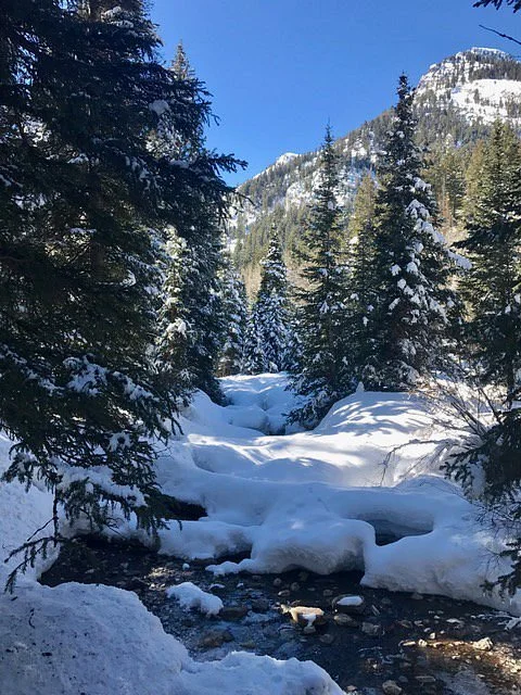 Donut Falls