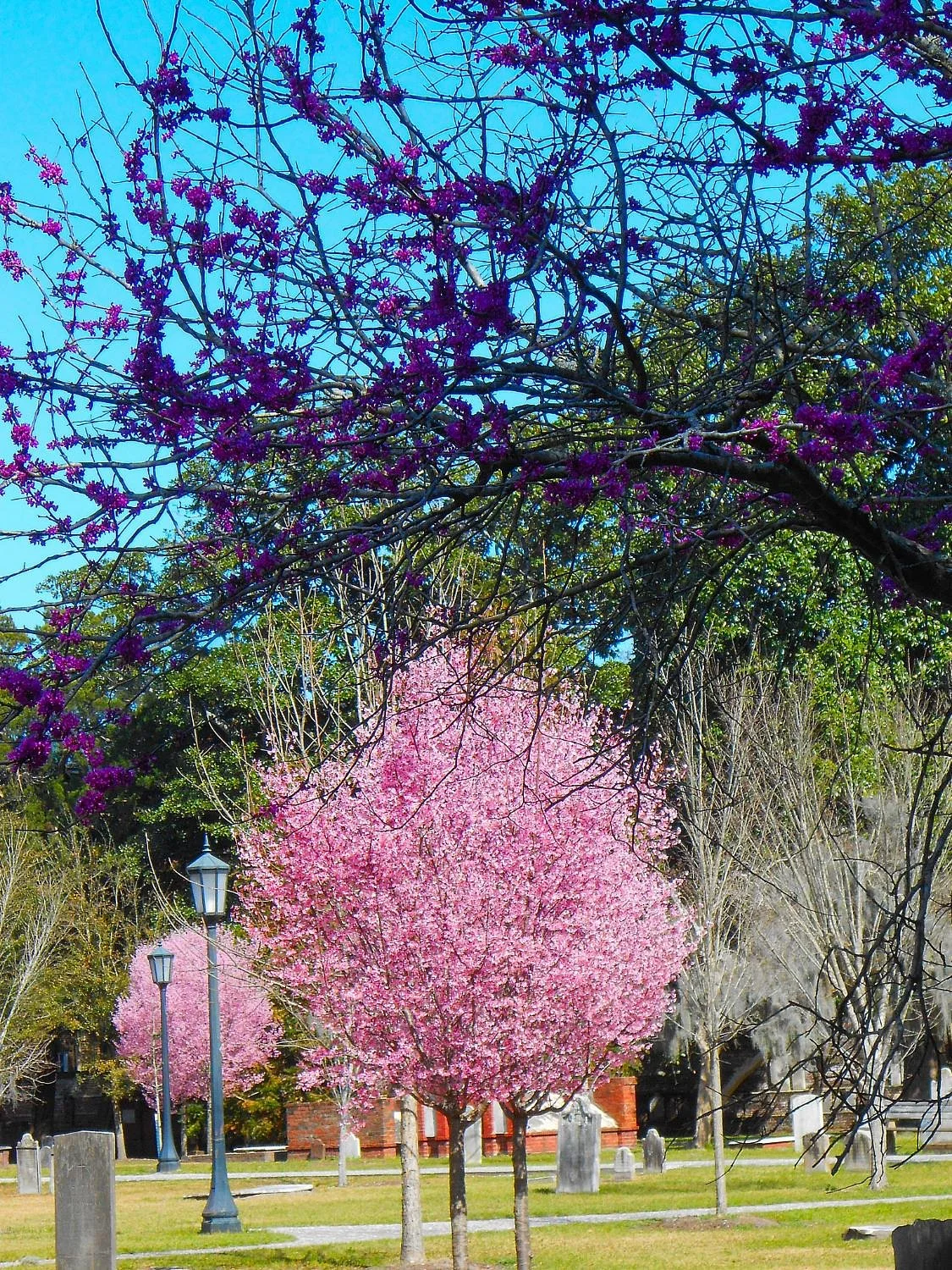 Colonial Park Cemetery