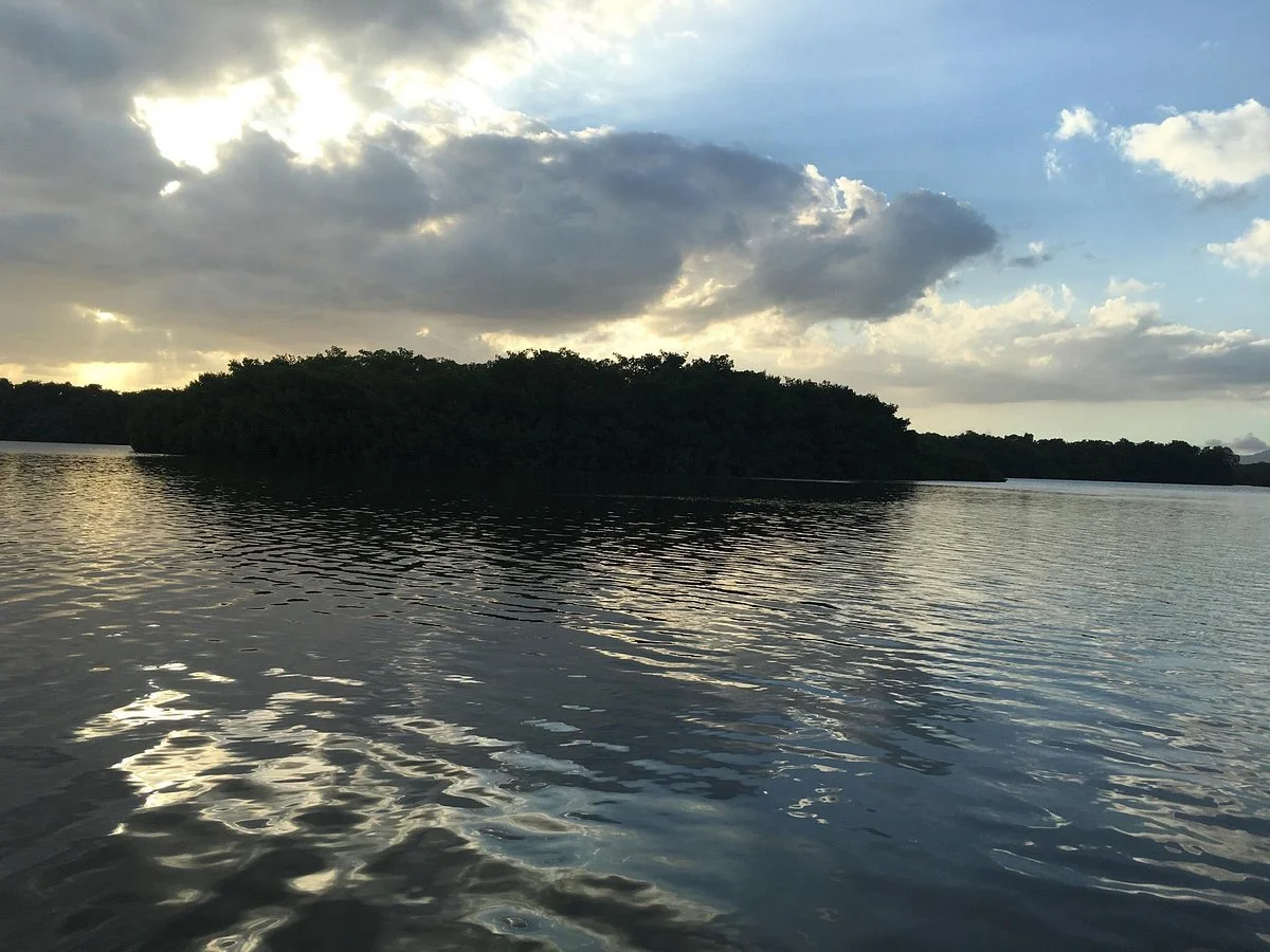 Caroni Lagoon National Park