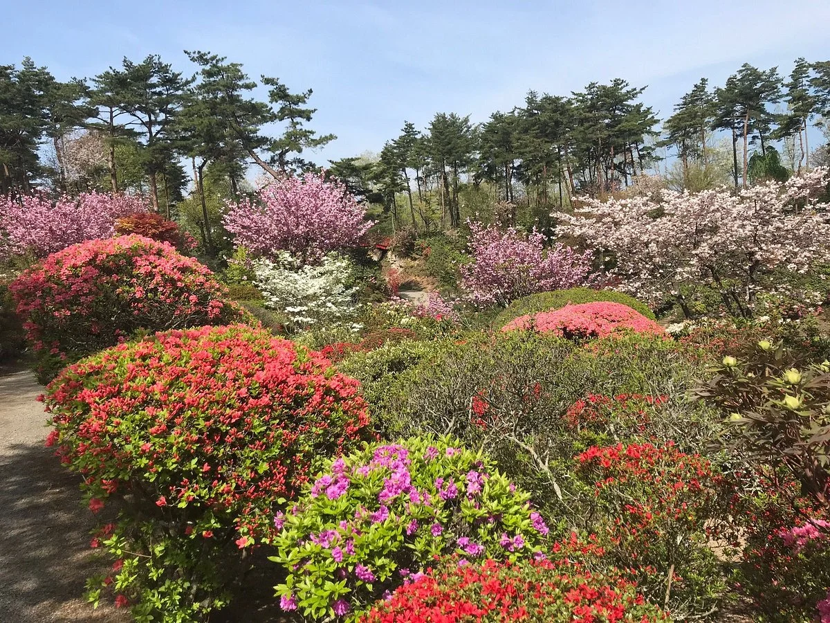 Okanbara Tsutsuji Garden