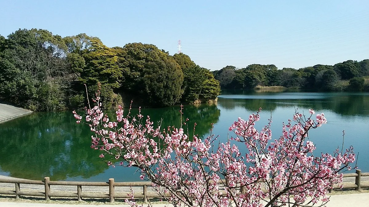 Sori Pond