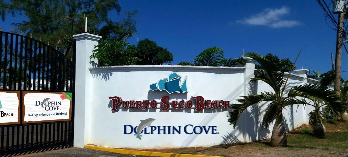 Dolphin Cove Puerto Seco Beach